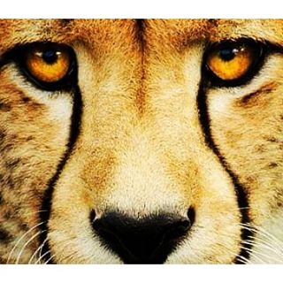 Photo 5 from The Naples Zoo