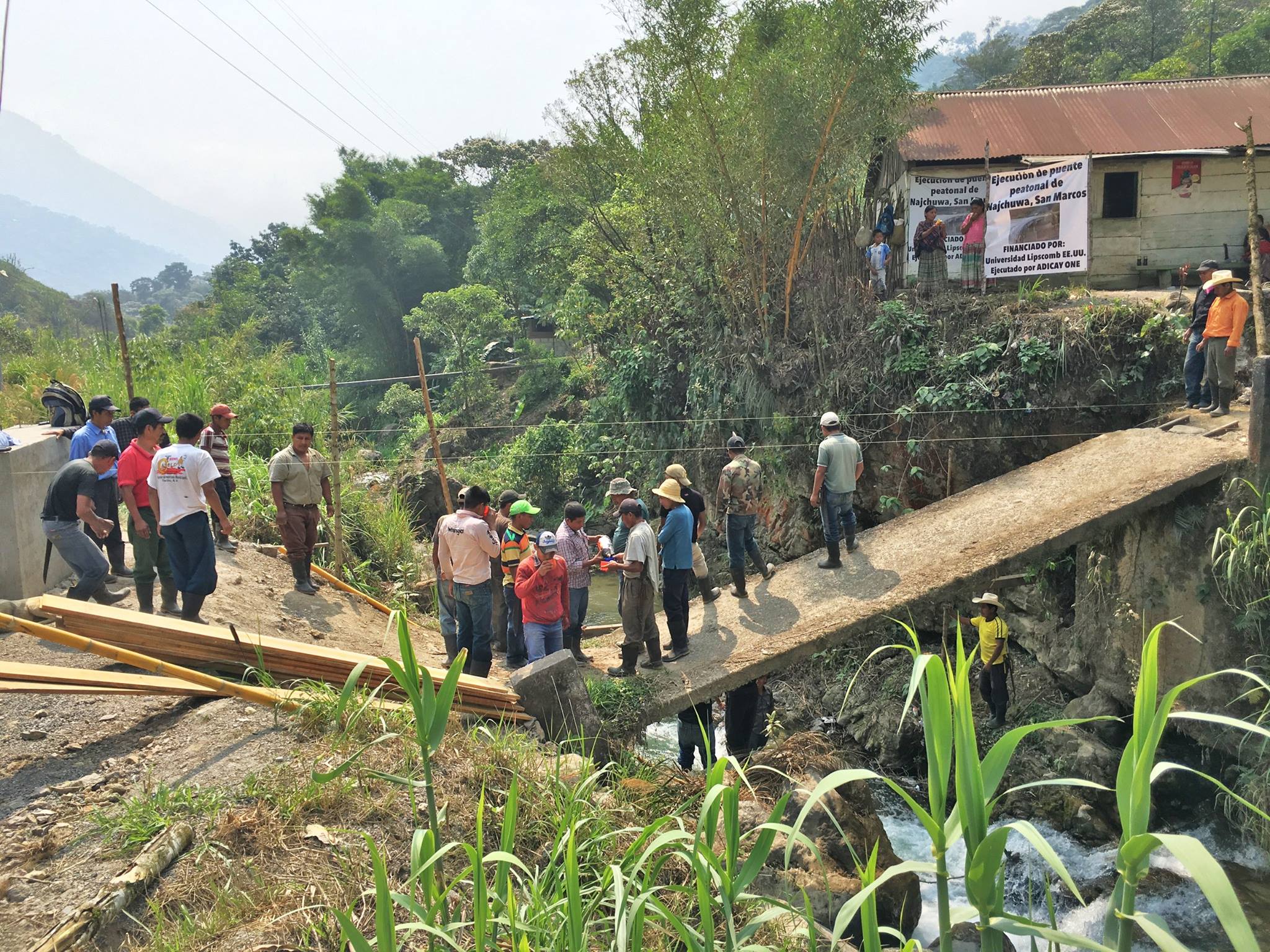 Photo 7 from Vine International