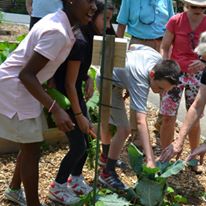 Photo 4 from BACKPACK BEGINNINGS