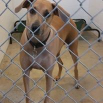 Photo 1 from KENDALL COUNTY WOMENS SHELTER