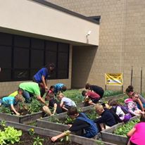 Photo 2 from ILLINOIS HUNGER COALITION