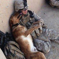 Photo 2 from Furbridge, Inc.