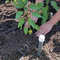 Photo 3 from BOYS AND GIRLS CLUB OF MANTECA