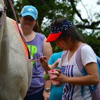 Photo 6 from Camp Summit