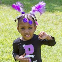 Photo 1 from Lupus Society of Illinois