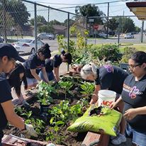 Photo 4 from BOYS AND GIRLS CLUB OF MANTECA