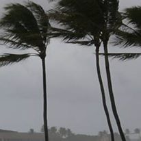 Photo 4 from American Red Cross