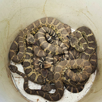 Photo 1 from North Cascades Institute