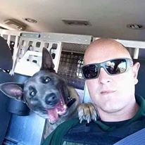 Photo 3 from Furbridge, Inc.