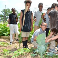 Photo 5 from BACKPACK BEGINNINGS