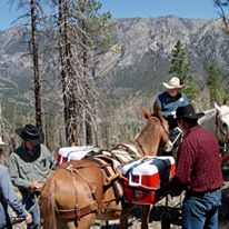 Photo 7 from FRIENDS OF NEVADA WILDERNESS