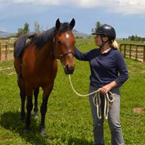 Photo 6 from Colorado Horse Rescue