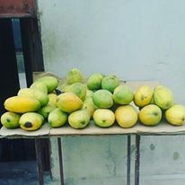 Photo 1 from Konbit Mizik