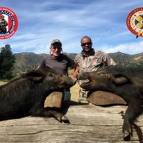 Photo 8 from California Waterfowl Association