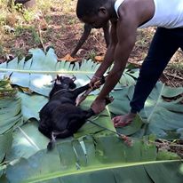 Photo 4 from Sudan Evangelical Alliance Partners