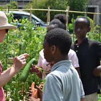 Photo 6 from BACKPACK BEGINNINGS