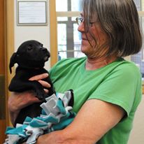 Photo 2 from High Sierra Animal Rescue