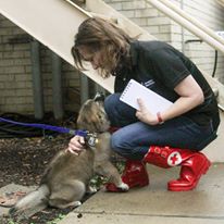 Photo 7 from American Red Cross