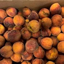 Photo 3 from The Food Bank For Westchester, Inc.