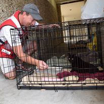 Photo 9 from American Red Cross