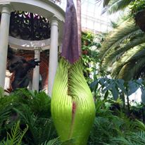 Photo 8 from Phipps Conservatory and Botanical Gardens