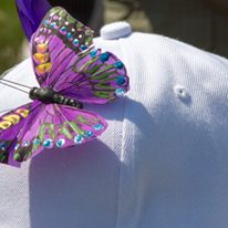 Photo 5 from Lupus Society of Illinois