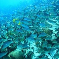 Photo 6 from Calm Air Visibility Unlimited