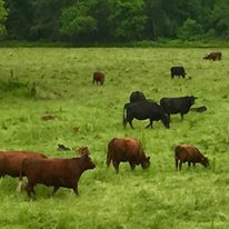 Photo 2 from AGRICULTURAL STEWARDSHIP ASSOCIATION