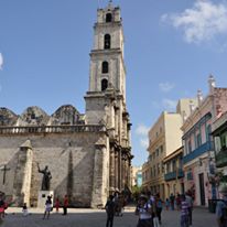 Photo 7 from Phipps Conservatory and Botanical Gardens