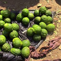 Photo 6 from Sudan Evangelical Alliance Partners