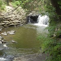 Photo 4 from Nature Abounds