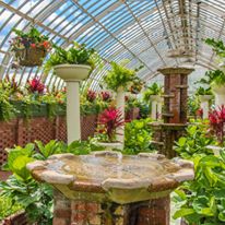 Photo 5 from Phipps Conservatory and Botanical Gardens