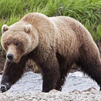 Photo 2 from North Cascades Institute