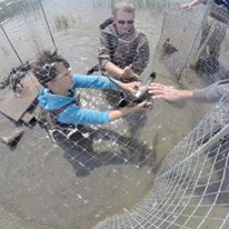 Photo 5 from California Waterfowl Association