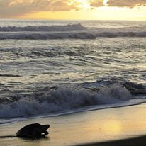 Photo 1 from Calm Air Visibility Unlimited