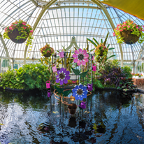 Photo 4 from Phipps Conservatory and Botanical Gardens