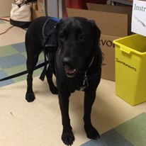 Photo 4 from INTERVOL