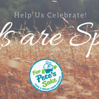 Photo 1 from For Pete's Sake Cancer Respite Foundation