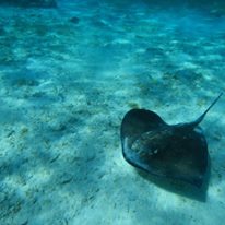 Photo 4 from Calm Air Visibility Unlimited