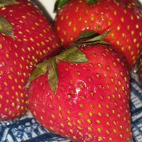 Photo 1 from AGRICULTURAL STEWARDSHIP ASSOCIATION