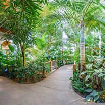 Photo 2 from Phipps Conservatory and Botanical Gardens