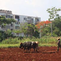 Photo 1 from Phipps Conservatory and Botanical Gardens