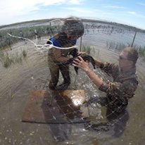 Photo 3 from California Waterfowl Association