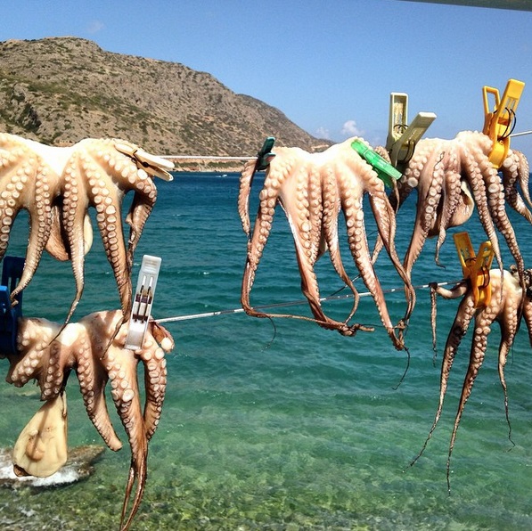 Photo 6 from CYA (COLLEGE YEAR IN ATHENS)