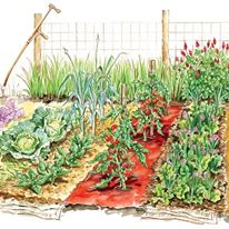 Photo 1 from Vincent House