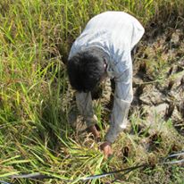 Photo 6 from LEGACY INSTITUTE