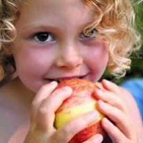 Photo 1 from Reaching Out Community Services, Inc.