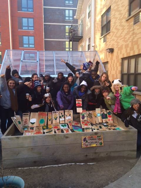 Photo 4 from Medici Project