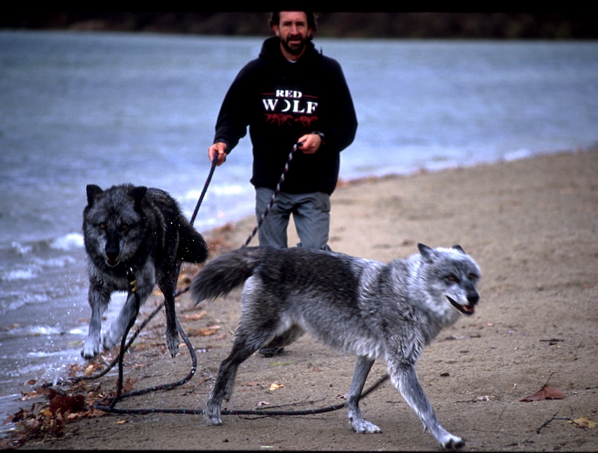 Photo 4 from MISSION WOLF