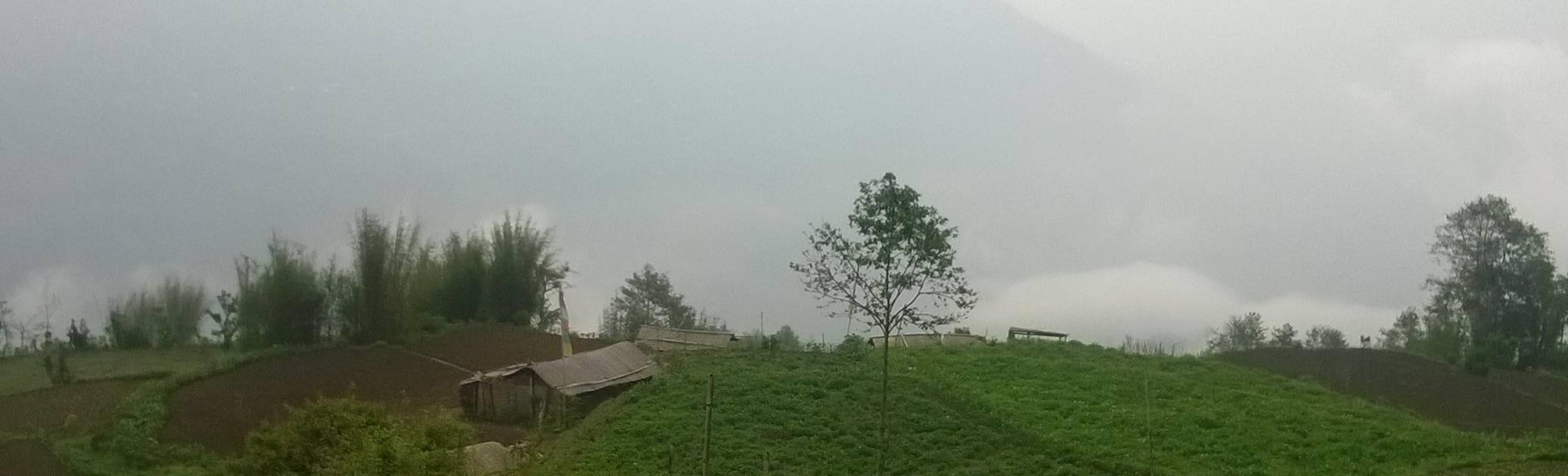 Spread the love Inc.